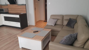 Apartament 3 pokojowy Plac Ratuszowy w Jeleniej Górze